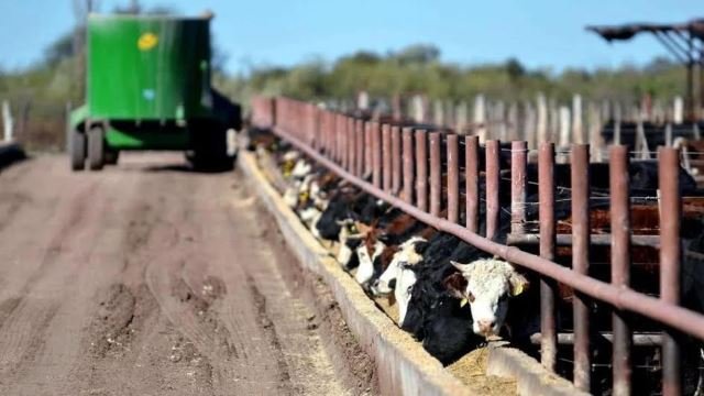 Economía busca potenciar y posicionar la actividad ganadera en el mercado regional