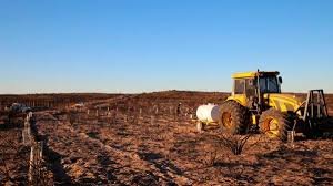 Continúa el plan de forestación de zonas áridas en el Este de Mendoza