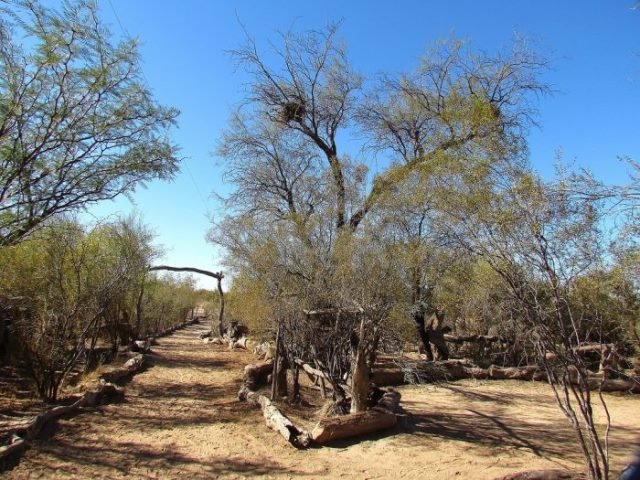 Leia Áreas Protegidas invita a las escuelas de Mendoza a conocer nuestras reservas naturales